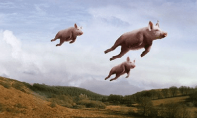 pigs-can-fly